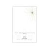 Cartes de Noël Ô – Image 13