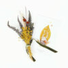Anawim Surprise – Image 5