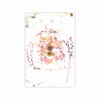 Cartes de Noël Ô – Image 2